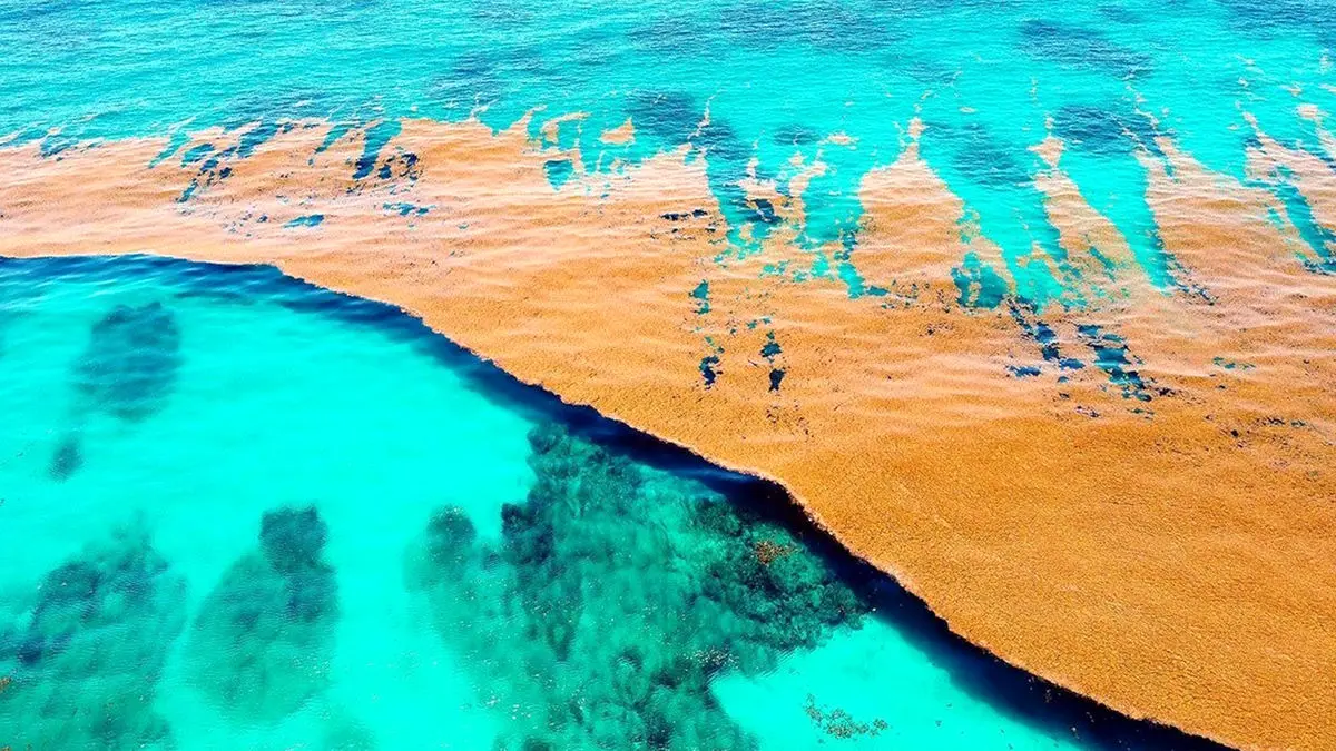 فیلم زندگی در اقیانوس ها / خانه اصلی حیات زمین