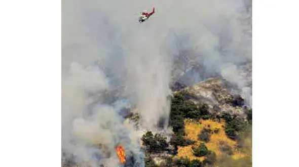 ماشین علف زنی در جنگل های لس آنجلس آتش افروزی کرد+عکس