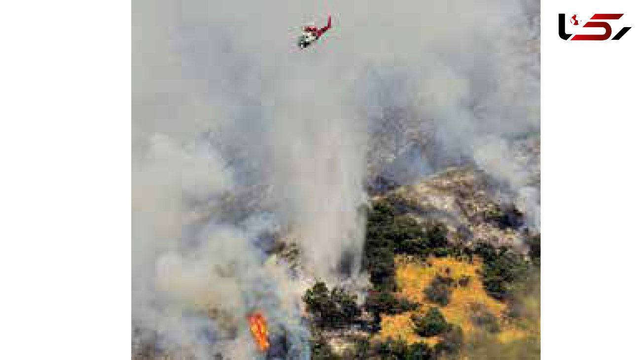 ماشین علف زنی در جنگل های لس آنجلس آتش افروزی کرد+عکس