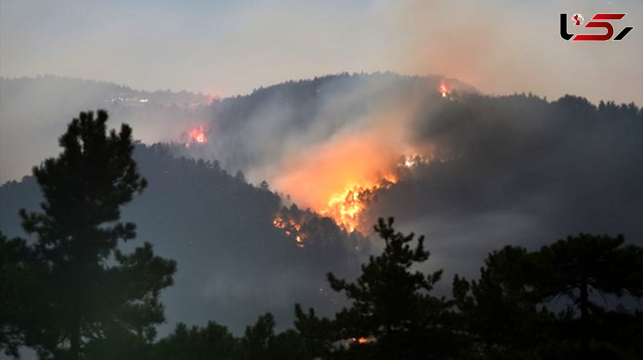 آتش سوزی های گسترده در 19 جنگل ترکیه