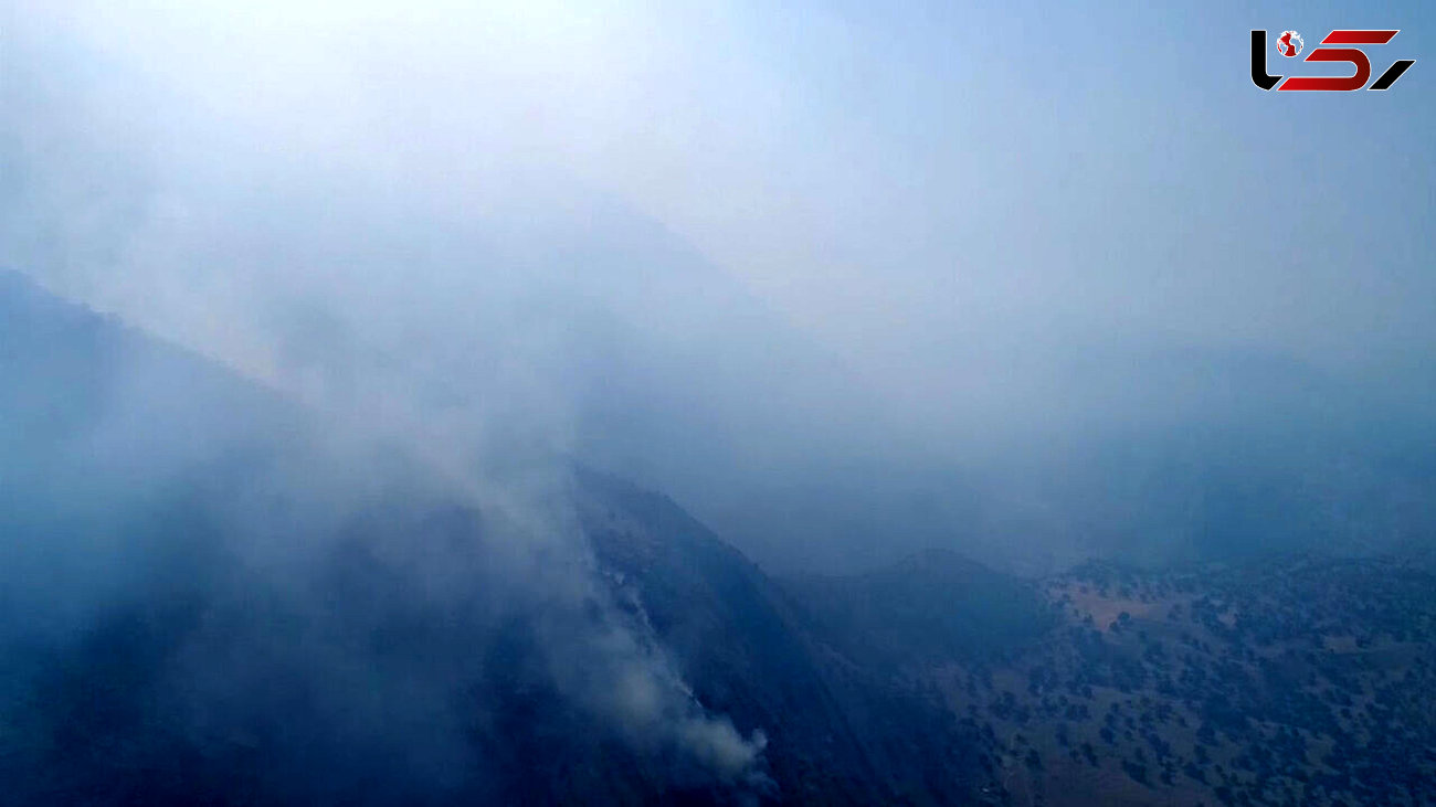 دستگیری عاملان آتش‌سوزی ارتفاعات جنگلی اقلید