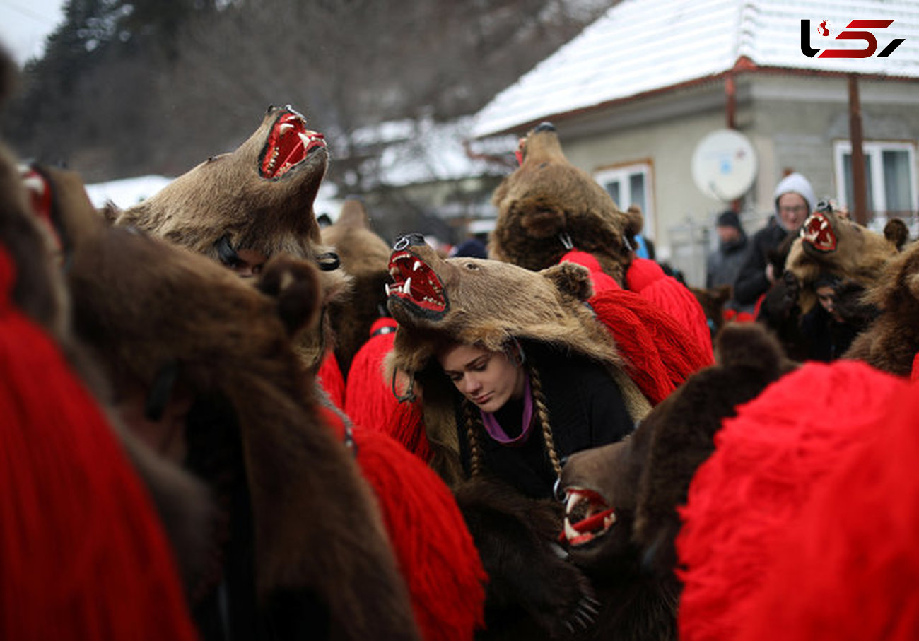 مراسم خرافاتی رقص خرس ها در رومانی + تصاویر دیدنی