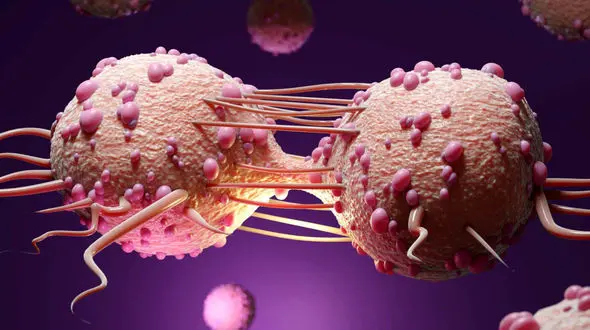 3 کار ساده و مهم برای مهار سلول های سرطانی + فیلم