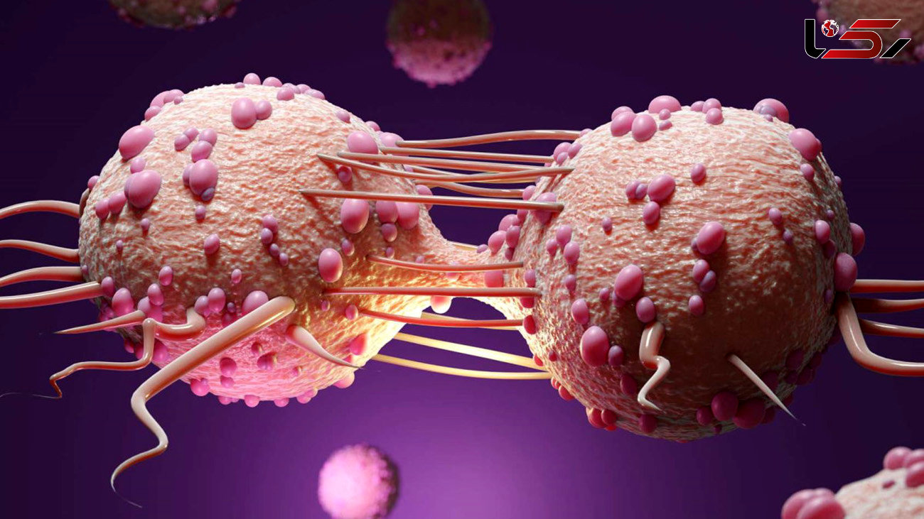 3 کار ساده و مهم برای مهار سلول های سرطانی + فیلم