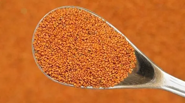 کبدت را مثل دسته گل کن!