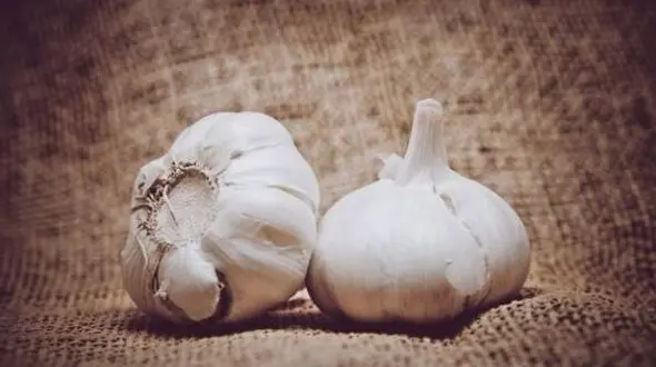 6 بیماری که با خوردن سیر تشدید می شود