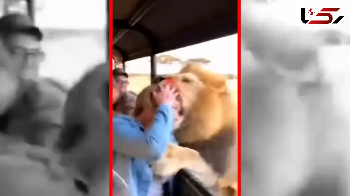 فیلم حمله شیر به گردشگر در سافاری ساخته شده با هوش مصنوعی