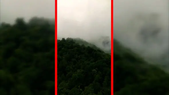 فیلم نمای هوایی خیره‌کننده از جنگل های هیرکانی