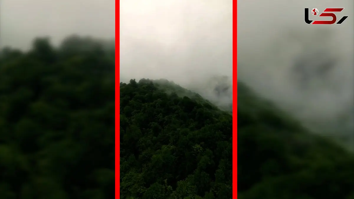 فیلم نمای هوایی خیره‌کننده از جنگل های هیرکانی