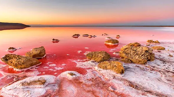 ببینید / منظره زیبا و چشم نواز از عبور قطار از دریاچه صورتی + فیلم 