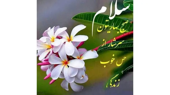 فال امروز 16 فروردین + فیلم