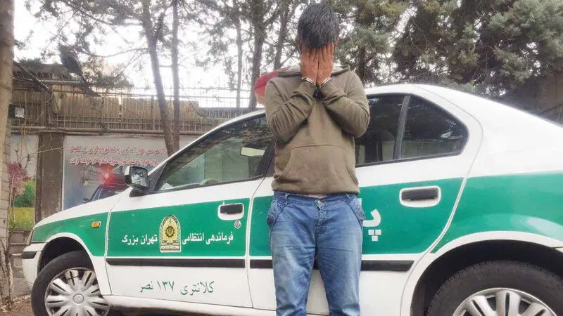 پرستار دزدی فریبکار