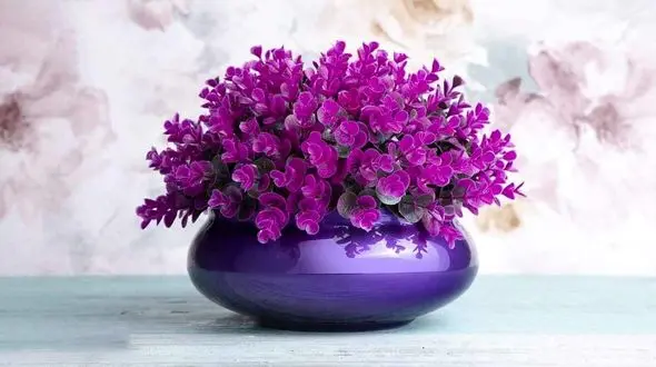 فال ابجد امروز / 19 اسفند + فیلم