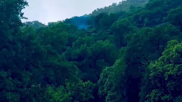 از حال هوای بهاری جاده سوادکوه شیرگاه به تهران تا آلپ ایران