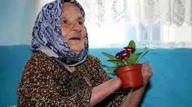 فیلم / شوهر این زن دستانش را با داس قطع کرد چون به عروس هدیه داده بود / 24 سال بعد شوهرش با گلوله کشته شد