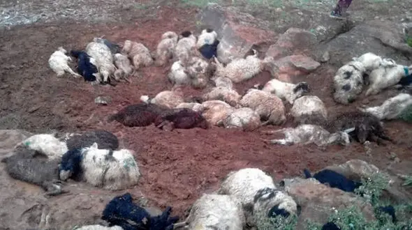 700 میلیون سرمایه مردم طارم زیر سنگ مدفون شد ! 