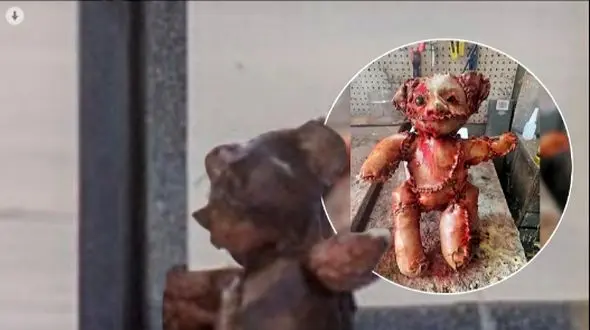 کشف وحشتناک عروسک خرسی که از پوست انسان درست شده در کنار یک پمپ بنزین / چقد ترسناکه !