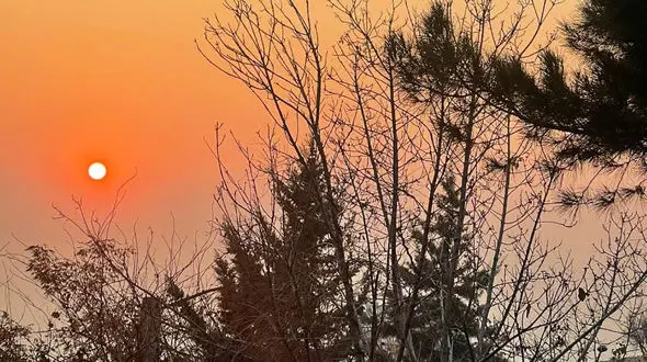 فال ابجد امروز / 29 آبان ماه + فیلم 