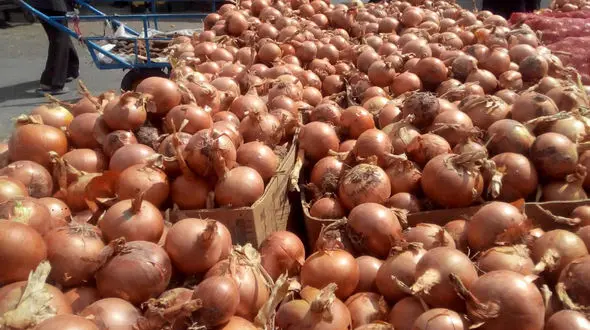 تاثیر پیاز بر فشار خون و کاهش وزن