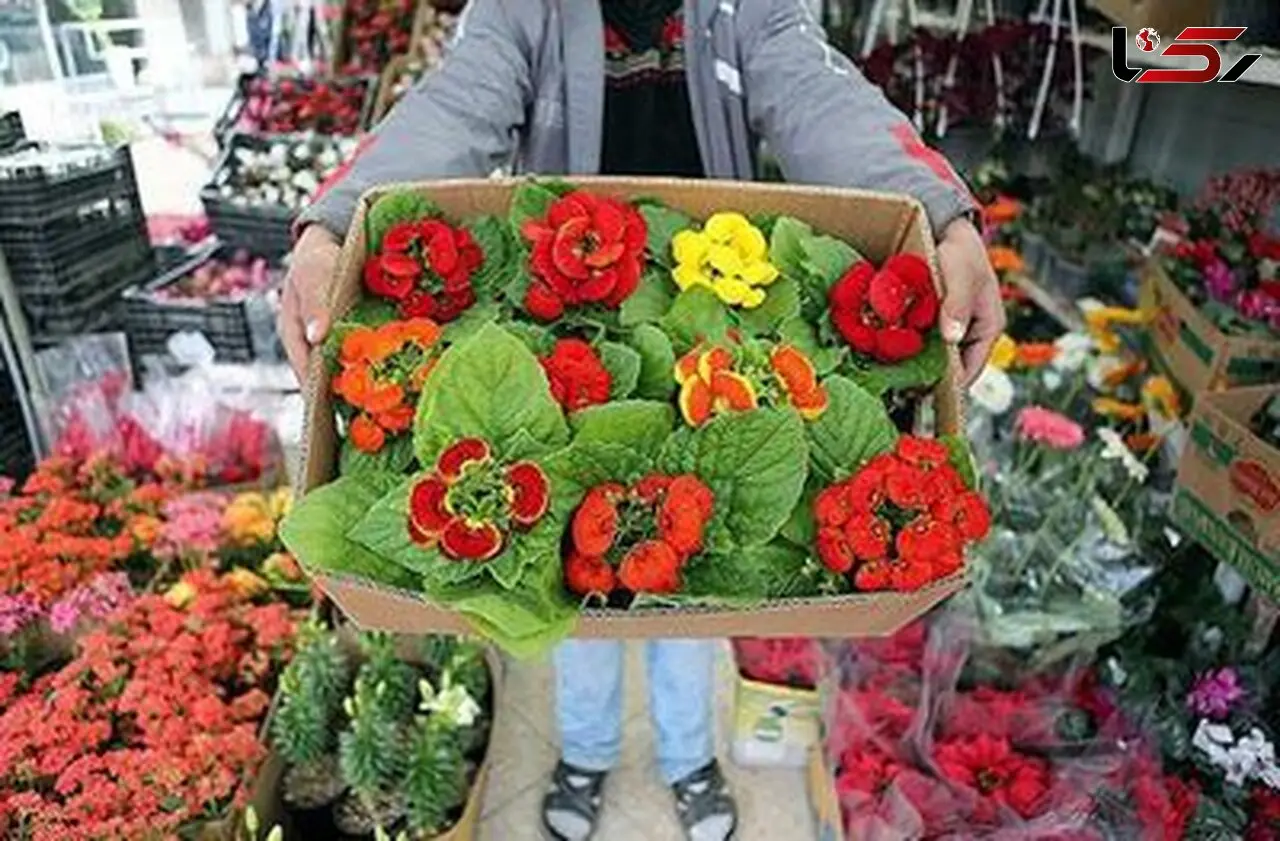 بازار گل خالی از دلال‌/ هزینه گل‌آرایی؛ ۳۰درصد قیمت فاکتورفروش