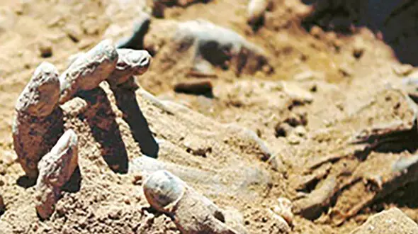ماجرای زنده به گور به شدن سرکارگر کیلانی 