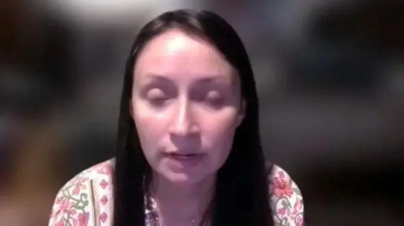 ویدئو: سقوط وحشتناک هواپیما پس از برخورد با درخت و آتش‌سوزی