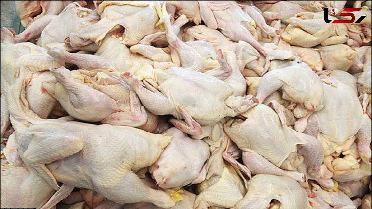 انهدام 3 تن مرغ فاسد در قزوین 