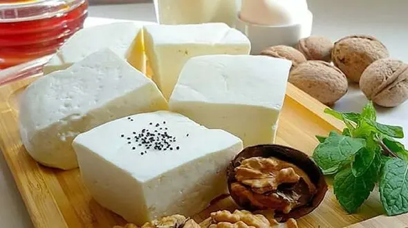تست شخصیت شناسی / چه پنیری را دوست دارید؟