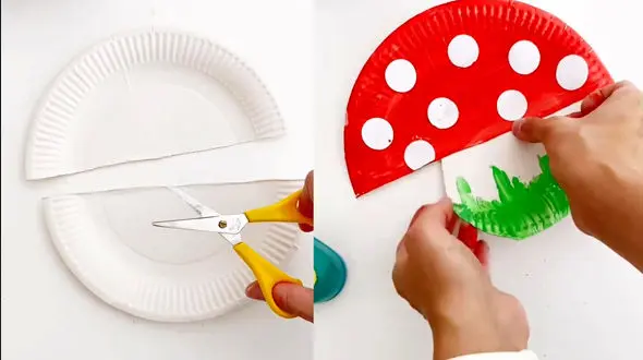 ساخت قارچ چطور ممکن است؟ + فیلم