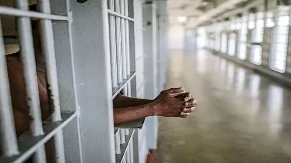 بازداشت متهم یگانه خودروی صدرا در مازندران / 800 میلیارد به جیب زده بود + جزییات