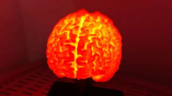 چاپ سه‌بعدی مغز انسان؛ ایده‌ای شگفت‌انگیز که سر و صدای زیادی به پا کرد