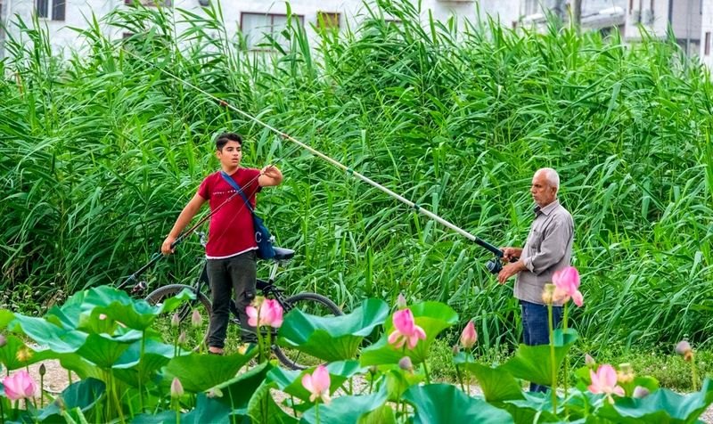 ماهیگیری در مازندران