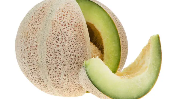 طالبی دوستدار افراد کم خون 
