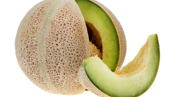 طالبی دوستدار افراد کم خون 