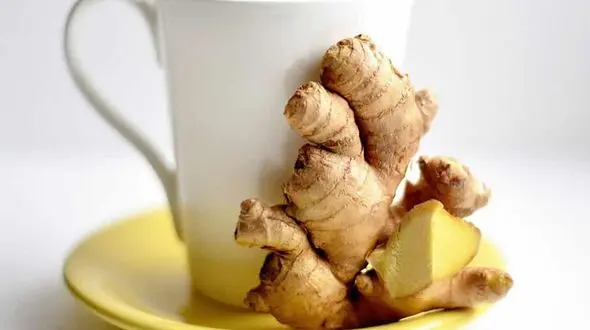 نسخه های درمانی طب سنتی برای هر بیماری