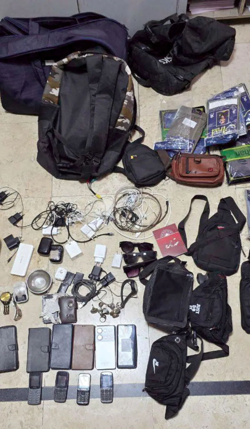 دزد حرفه ای 