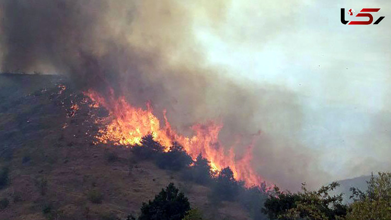 آتش‌ سوزی بزرگ در گچساران
