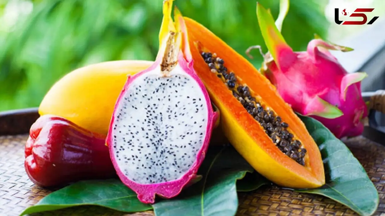 آشنایی با میوه‌ های استوایی؛ طعمی که باید تجربه کنید!
