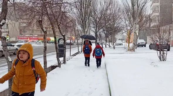 مدارس اردبیل به‌دلیل بارش برف مجازی شد 