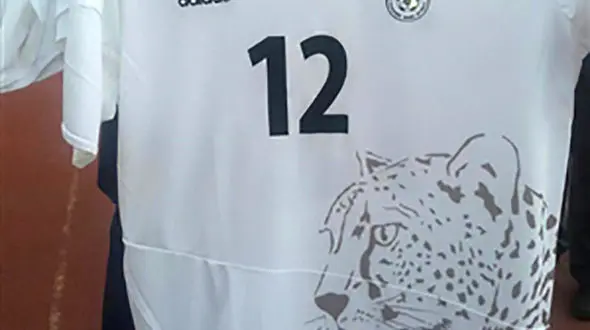 تاریخ رونمایی از لباس ایران برای جام جهانی مشخص شد