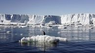 تاثیر گرمای جهانی بر تشدید رشد گونه‌ها در بستر آب‌های قطب جنوب