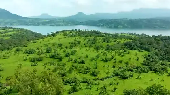 ببینید / نماهنگ بی کلام امشب در سر شوری دارم + فیلم