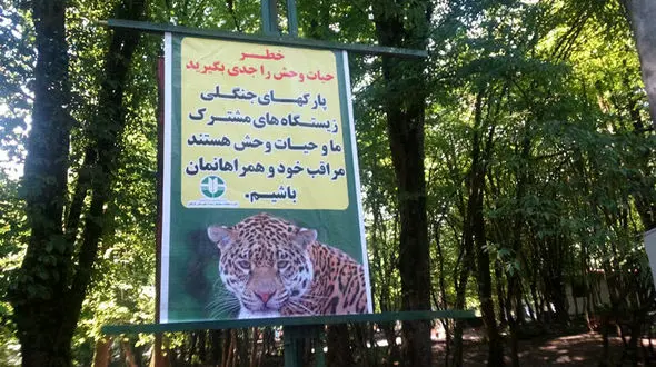 خطر حضور حیوانات وحشی در تفرجگاه های جنگلی گرگان 