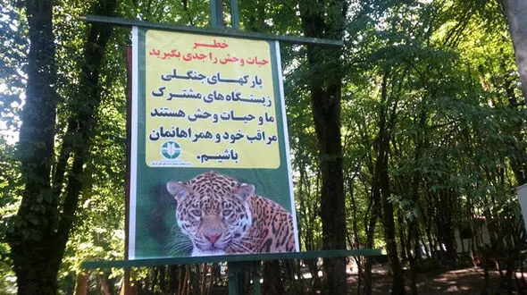 خطر حضور حیوانات وحشی در تفرجگاه های جنگلی گرگان 
