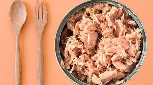 قیمت تن ماهی 87 درصد گران شد!