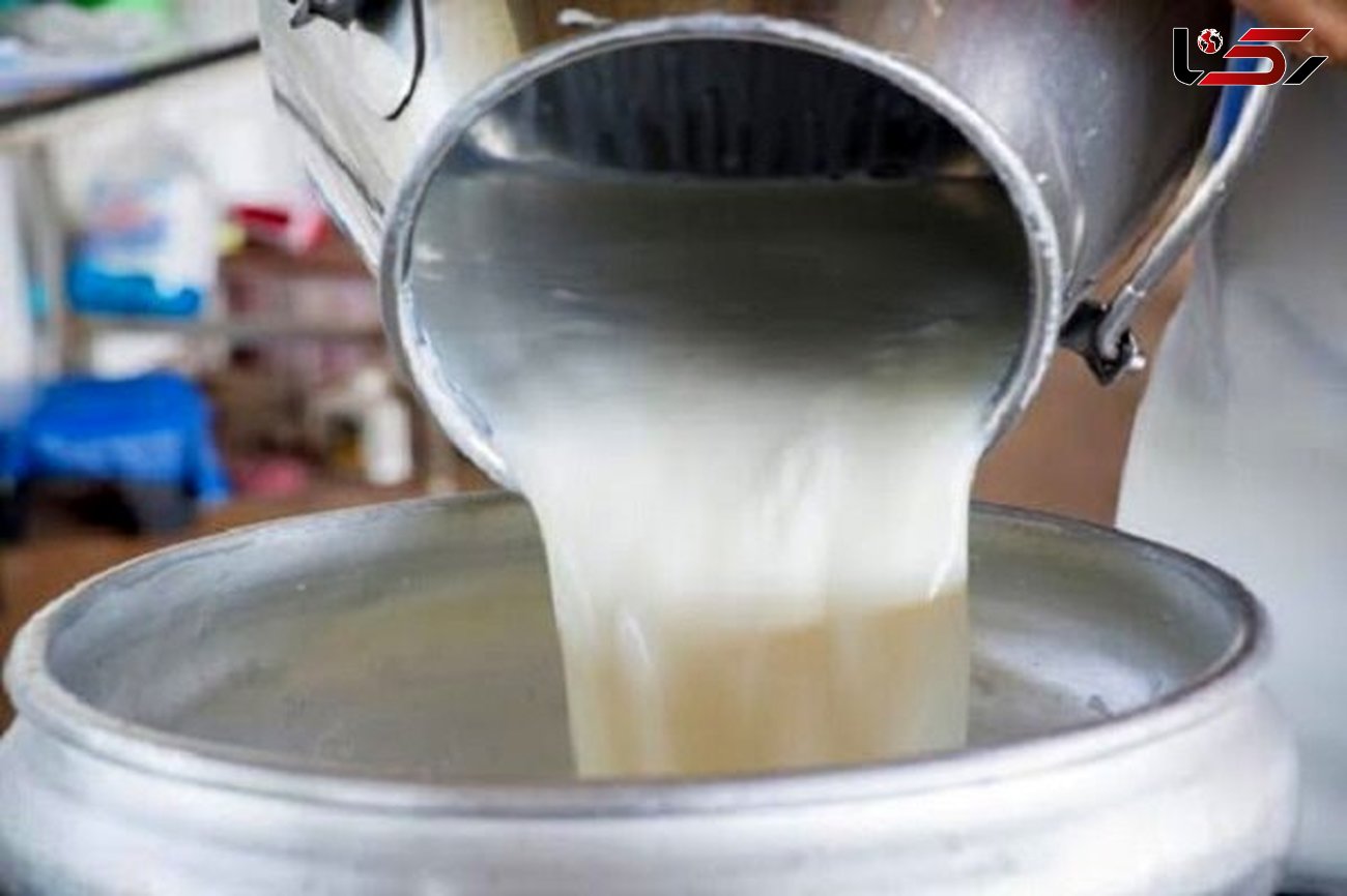 ۹۰۰ کیلوگرم شیر فاسد در تربت جام کشف شد