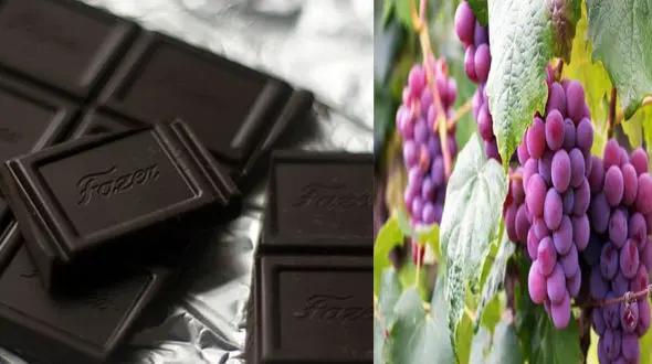  شکلات تلخ و انگور با کرونا مقابله می کند