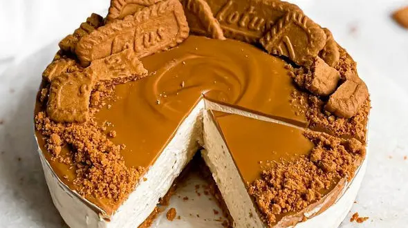 از لازانیا فوری تا چیز کیک لذیذ