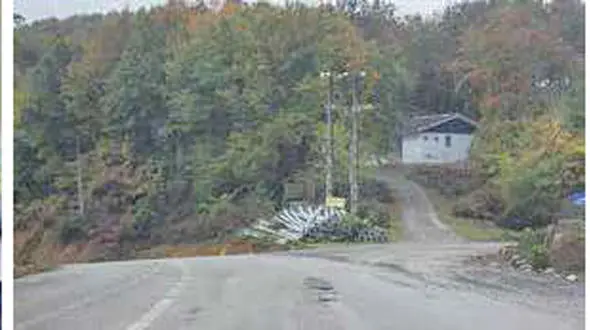 راز شوم جسد مرد پتو پیچ شده در جنگل سیاهکل / زن با پسر جوان ارتباط شیطانی داشت تا اینکه ...+عکس