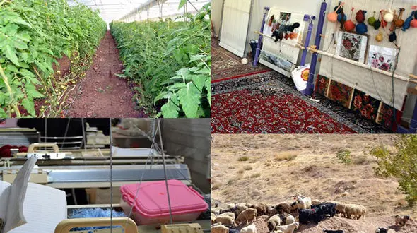 چوپان ۲۶ ساله‌ای که مدیرعامل هلدینگ شد